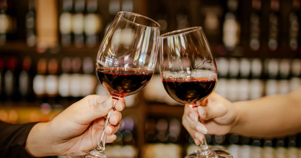 Rundvisning og vinsmagning på en dansk vingård