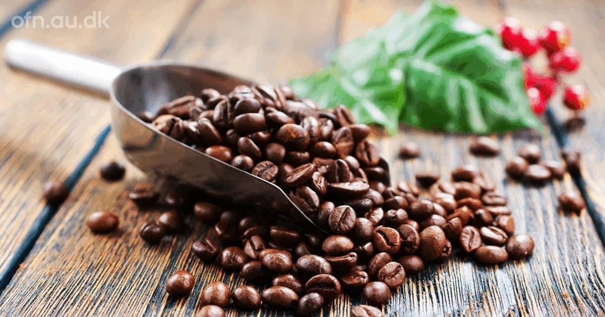 Naturvidenskabeligt foredrag om kaffe