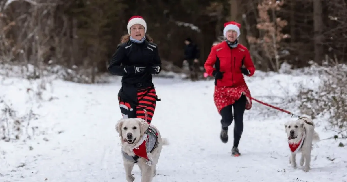 Dirty Paws juleløb 2026 hos Team Næstved