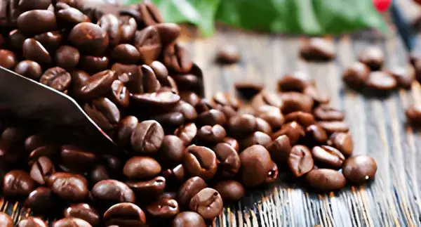 Foredrag: Kaffe