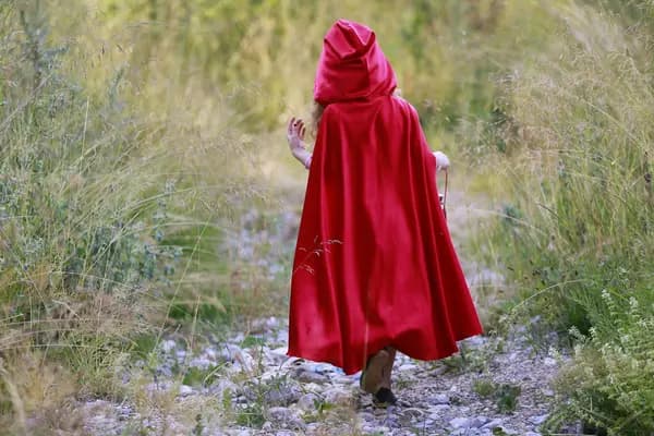 Film og fortælling: Et klassisk eventyr