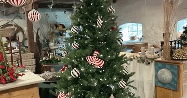 Hyggelig og inspirerende julestue