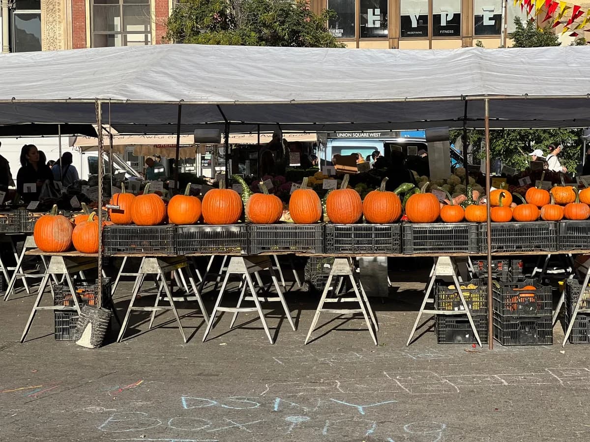 Market stall with bright orange pumpkins lined up