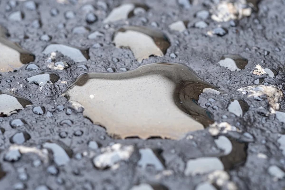 Close-up of wet asphalt with puddles and reflections