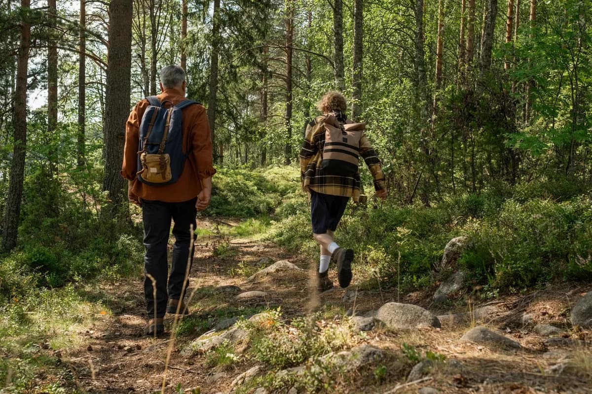 Two hikers with backpacks walking in the forest