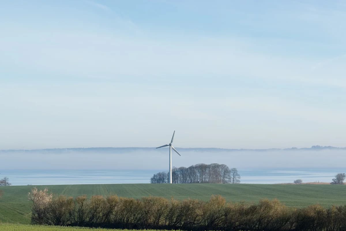 A wind turbine rising above green fields in a foggy Danish landscape.