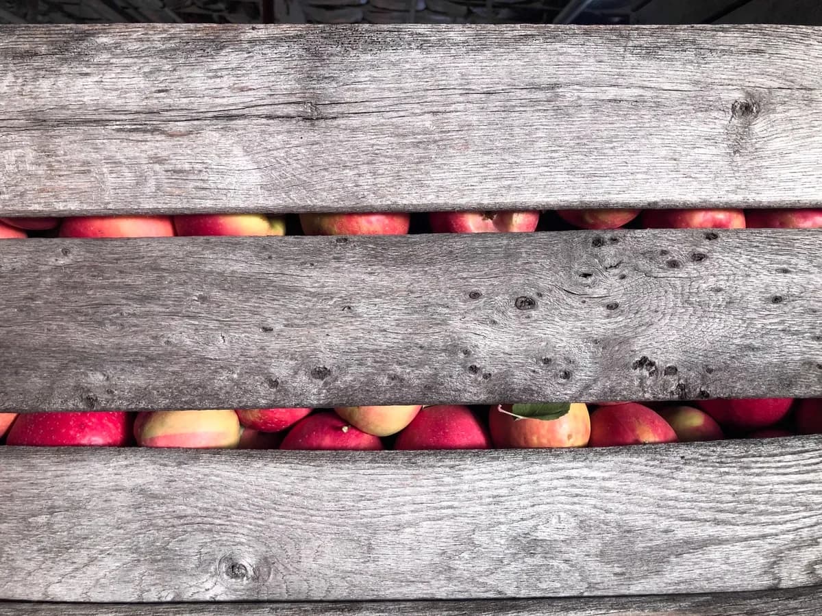 A rustic wooden crate filled with vibrant red apples, perfect for autumn harvest scenes.